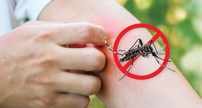 Practice good habits to prevent dengue