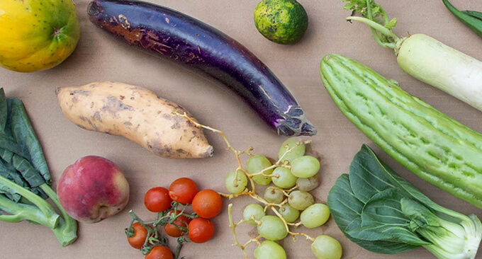 Feed ourselves, not the landfill