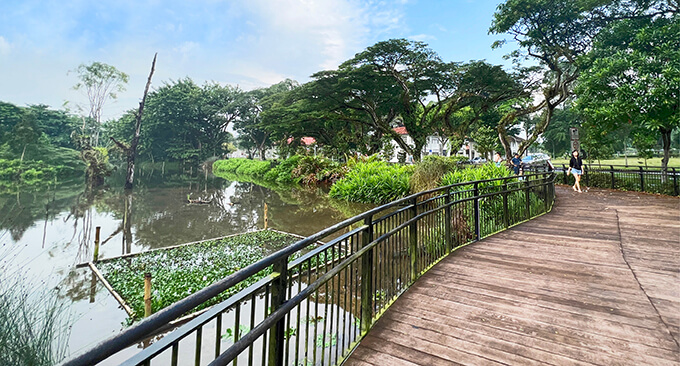 A hidden gem to discover
