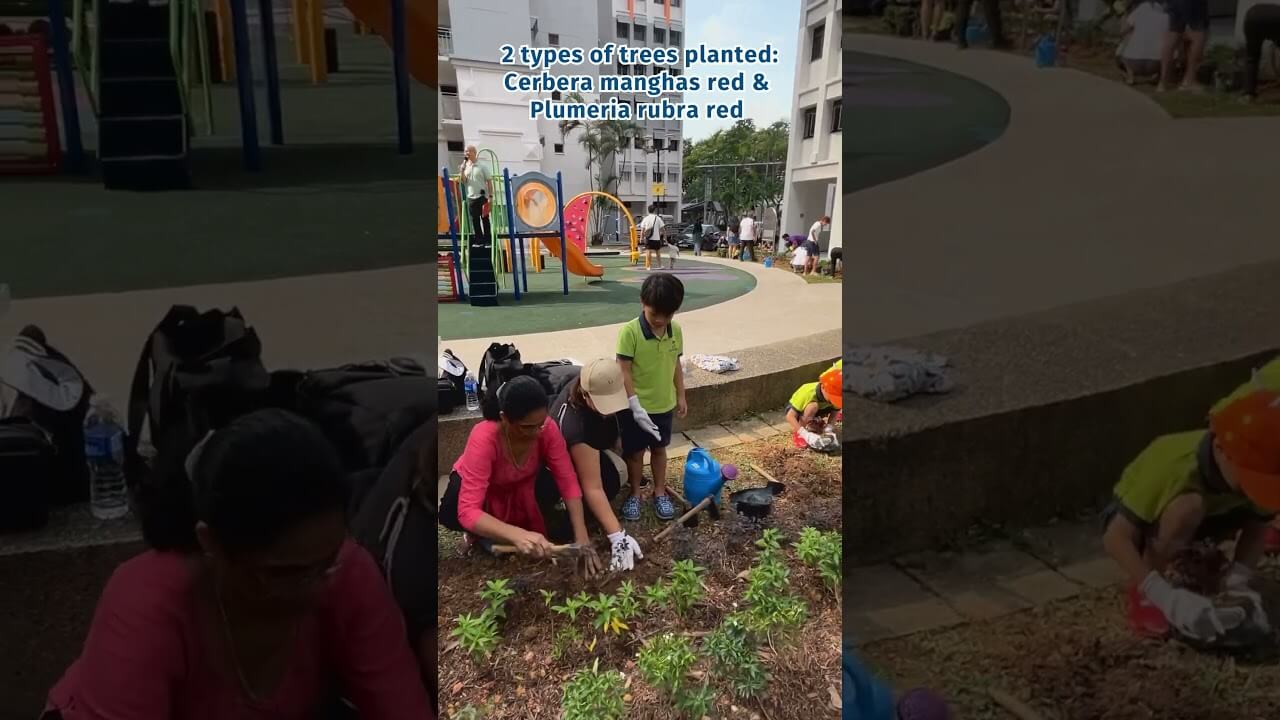 Tree Planting Activity at Jalan Kayu Division