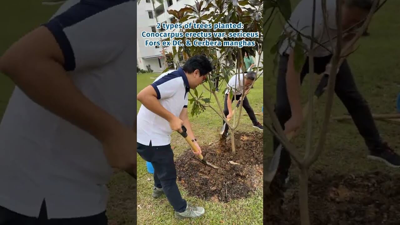 Tree Planting Activity at Teck Ghee Division